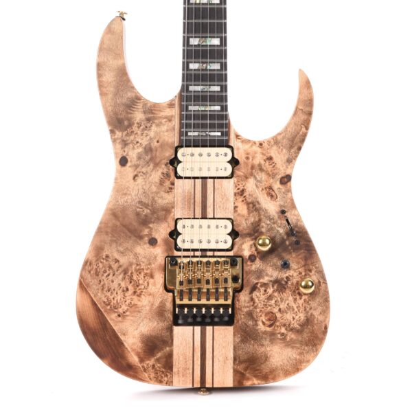 Guitarra Eléctrica Ibanez RGT1220PB Premium - Antique Brown Stained 1
